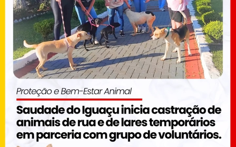 Bem Estar Animal